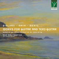 Works for Guitar and Terz-Guitar