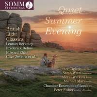 Quiet Summer Evening