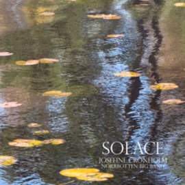 Solace