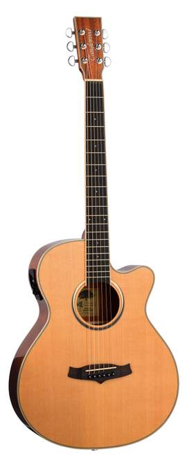 Tanglewood Winterleaf TW4CENA Electro Acoustic Guitar