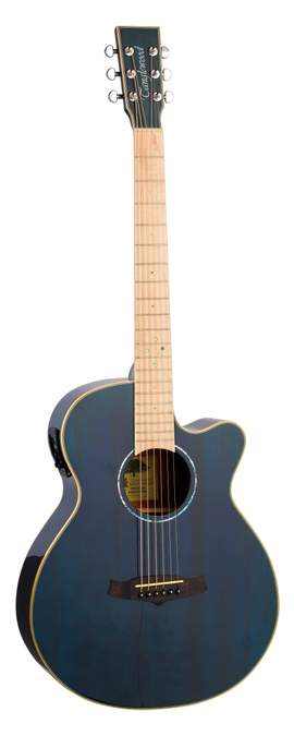Tanglewood Winterleaf Blonde TW4CEBLA Electro Acoustic Guitar