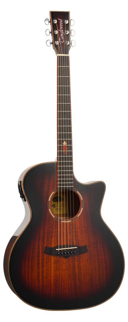 Tanglewood Winterleaf Exotic TWX6CEK Guitar