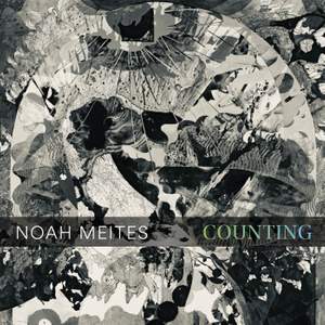 Noah Meites: COUNTING