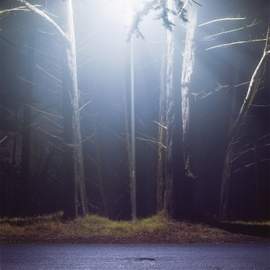 David Bird: Hinterlands