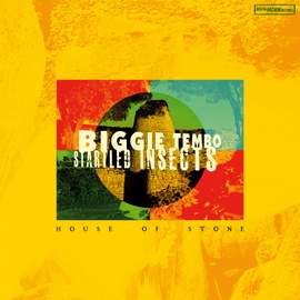 HOUSE OF STONE