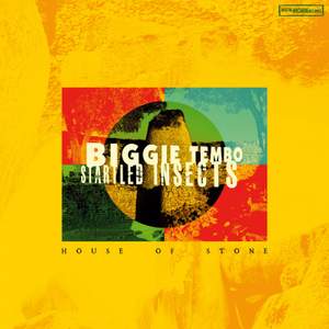 HOUSE OF STONE