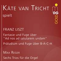 Liszt & Reger: Organ Works