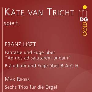 Liszt & Reger: Organ Works