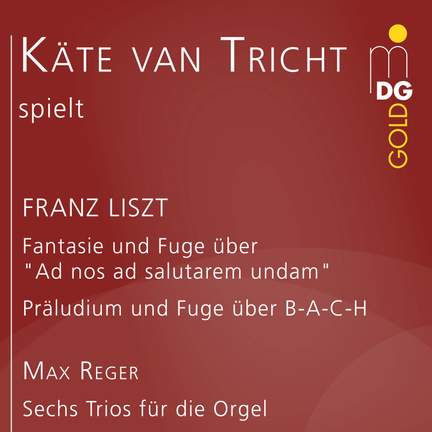 Liszt & Reger: Organ Works