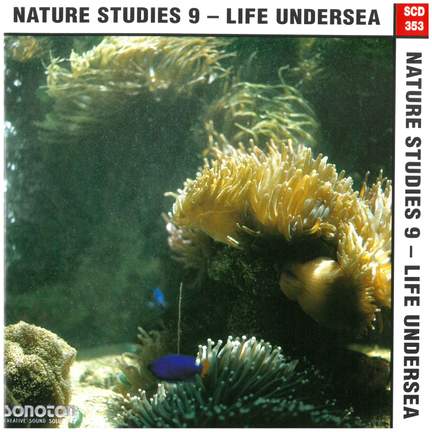Nature Studies, Vol. 9: Life Undersea