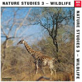 Nature Studies, Vol. 3: Wildlife