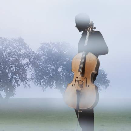Cellospheres and Bass Moods
