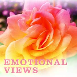 Emotional Views