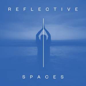 Reflective Spaces
