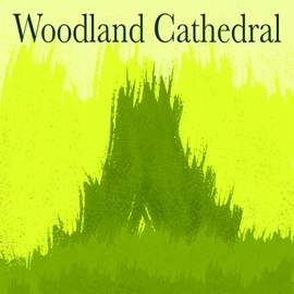 Woodland Cathedral