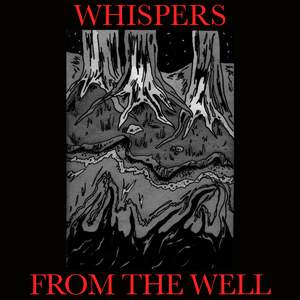 Cinematic Horror: Whispers from the Well