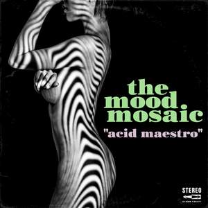Acid Maestro