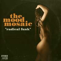Radical Funk