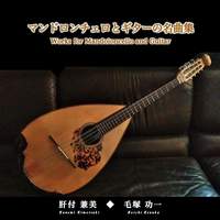 Works for Mandoloncello & Guitar