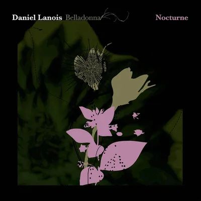 Belladonna Nocturne