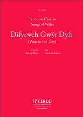 Difyrwch Gwyr Dyfi
