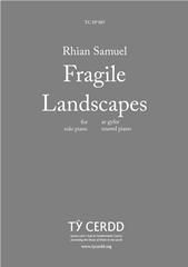 Rhian Samuel: Fragile Landscapes