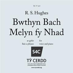 RS Hughes: Bwthyn Bach Melyn fy Nhad