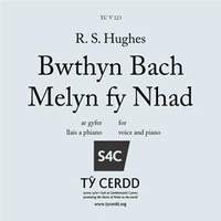 RS Hughes: Bwthyn Bach Melyn fy Nhad