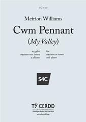 Meirion Williams: Cwm Pennant