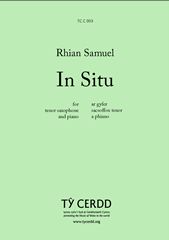 Rhian Samuel: In Situ