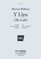 Meirion Williams: Y Llyn (The Lake)