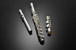 Azumi Flute AZ-S2E Product Image