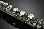 Azumi Flute AZ-S2E Product Image