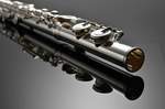 Azumi Flute AZ-S2E Product Image