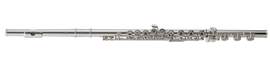 Azumi Flute AZ-S2RBE