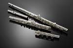 Azumi Flute AZ-S2RBE Product Image