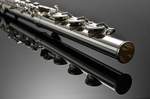 Azumi Flute AZ-S2RBE Product Image