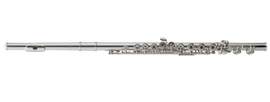 Azumi Flute AZ-S2RE