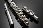 Azumi Flute AZ-S2RE Product Image