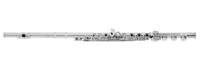 Azumi Flute AZ-S3RBE-C