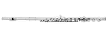 Azumi Flute AZ-S3RBE-C