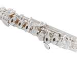 Azumi Flute AZ-S3RBE-C Product Image