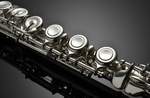 Azumi Flute AZ-Z2E Product Image