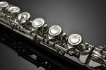 Azumi Flute AZ-Z3E Product Image