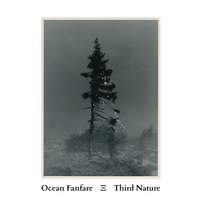Third Nature