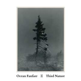 Third Nature