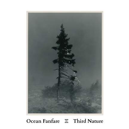 Third Nature