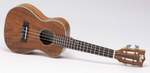 VOLT Ukulele Maui Product Image