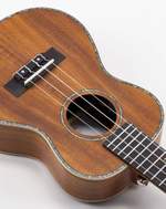 VOLT Ukulele Maui Product Image