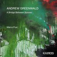 Andrew Greenwald: A Bridge Between Spaces